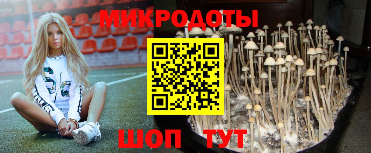 Галлюциногенные грибы мухоморы  Вход с VPN  Михайловск  Галлюциногенные грибы GOLDEN TEACHER 