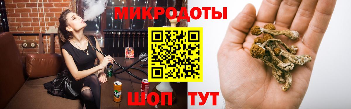 Псилоцибиновые грибы Psilocybe Михайловск